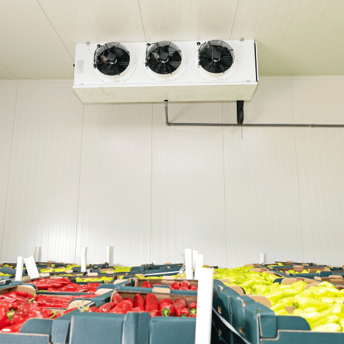 Challenges and Best Practices for Frozen Food and Cold Storage Warehousing